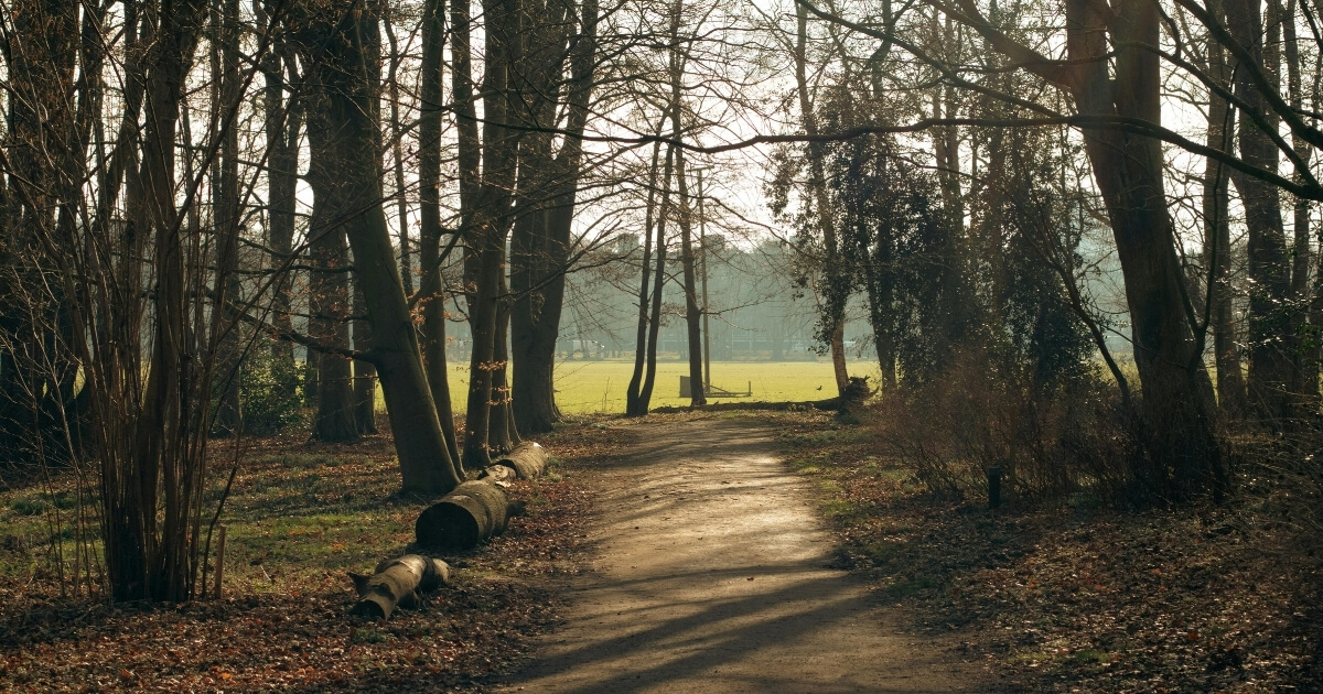 Landal Miggelenberg Review: A Relaxed Woodland Escape for Families With Young Children