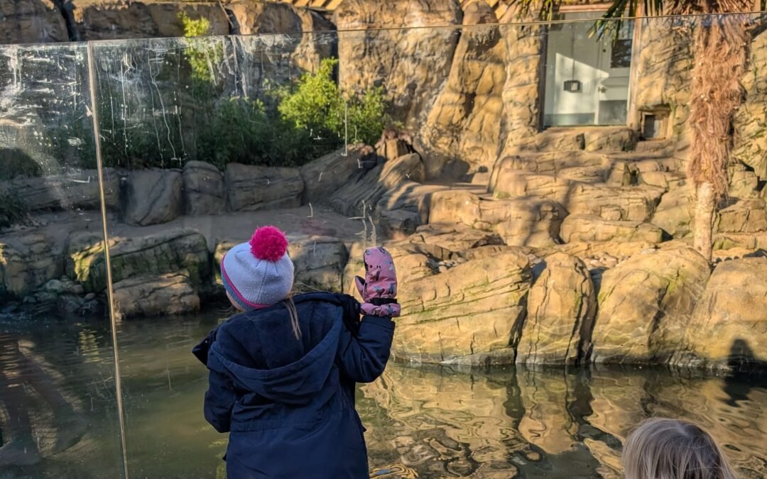 Colchester Zoo Review: Why We Love It as Annual Pass Holders