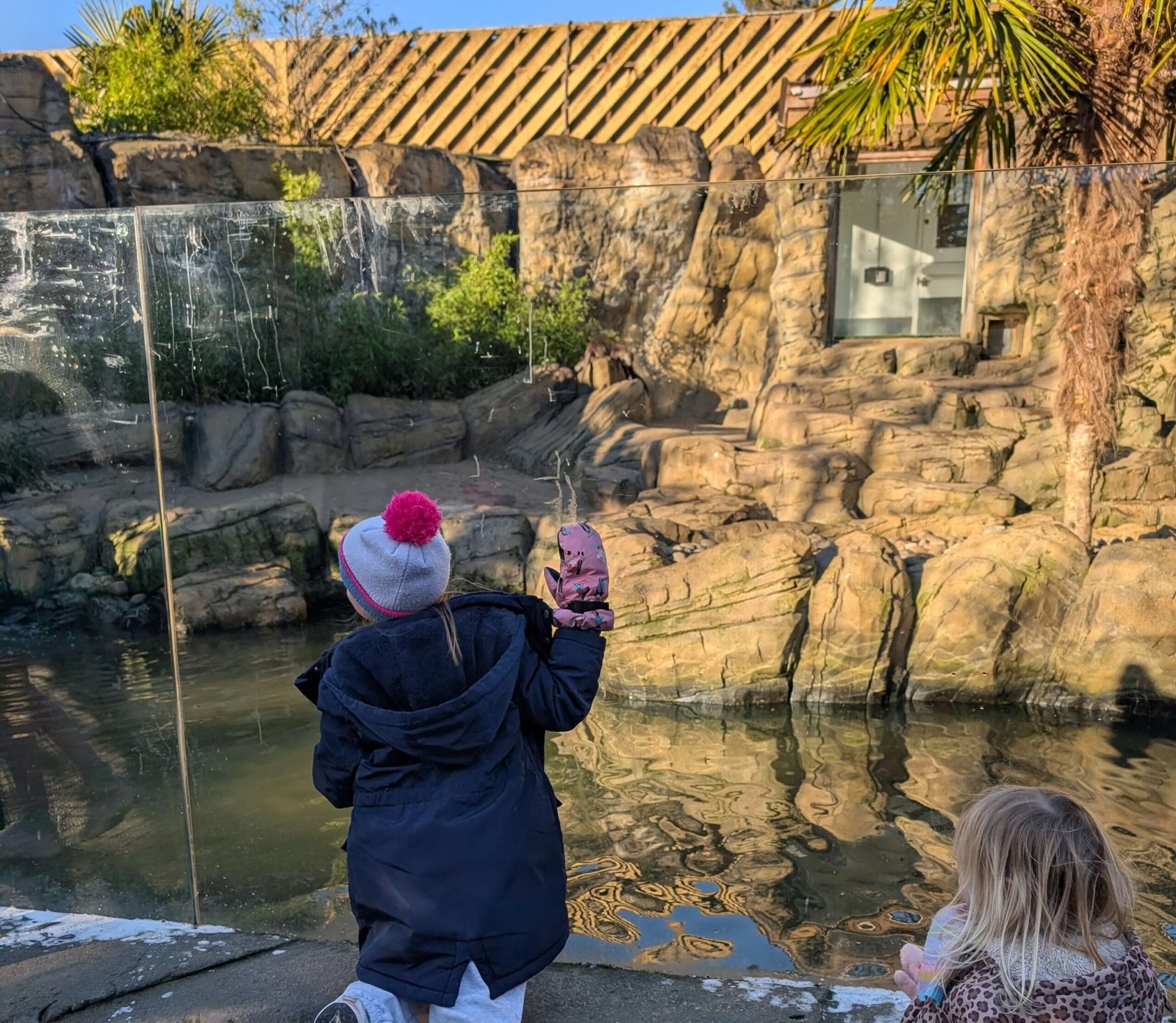 Colchester Zoo Review: Why We Love It as Annual Pass Holders