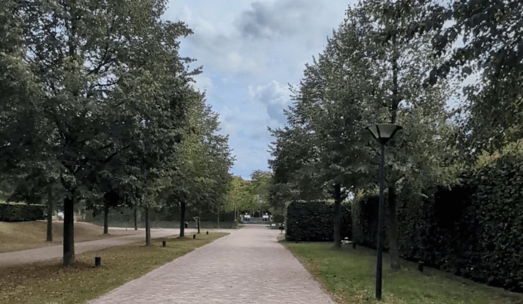 Our Stay at Hof van Saksen: An Honest Review