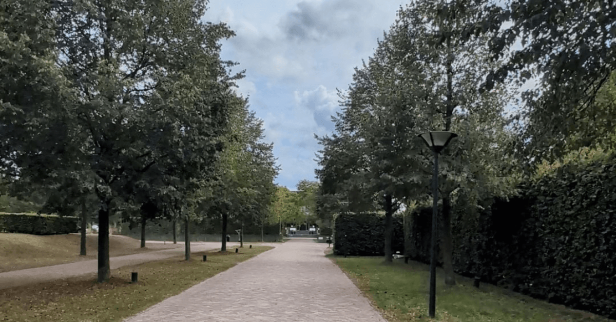 Our Stay at Hof van Saksen: An Honest Review